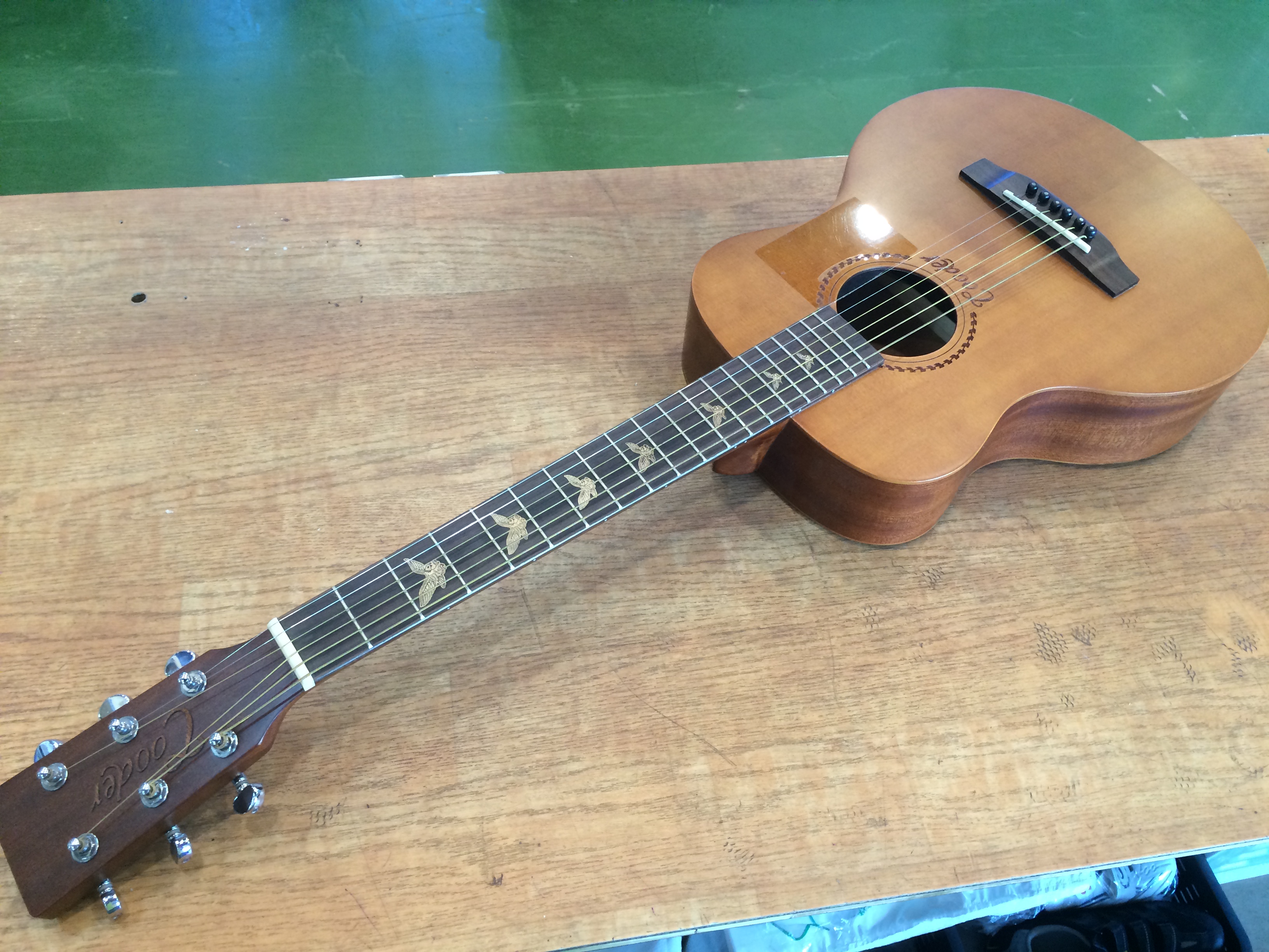 TAKAMINE Cooder(タカミネクーダー) CM-2/OV アコースティックギター 