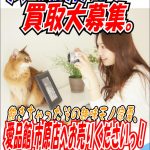デジタルカメラ売るならリサイクルショップ愛品館市原店へ