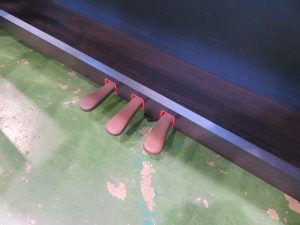 IMG_9798