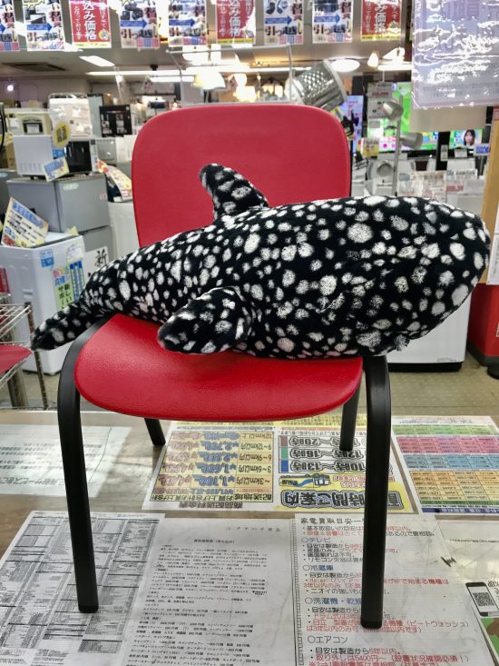 JELLYCAT Pebbles Whale Shark ジェリーキャット ジンベエザメPEB1WS買取中古販売