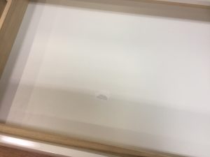 IMG_1691