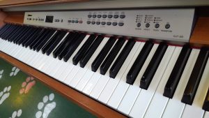 KIMG5105