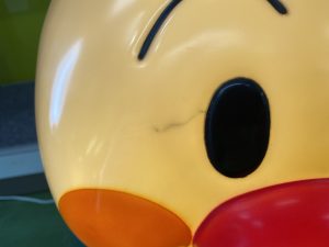 IMG_2599
