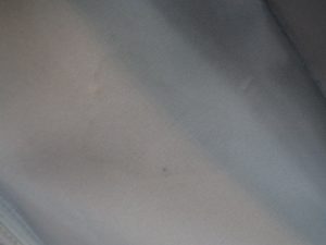 P6030016