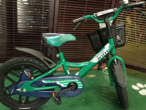 ブリヂストン(BRIDGESTONE) FUNEEKIDS 16インチ 子供用自転車