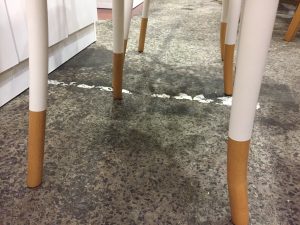 IMG_3901[1]