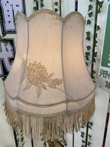 IMG_3519