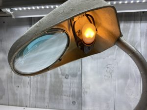IMG_3673