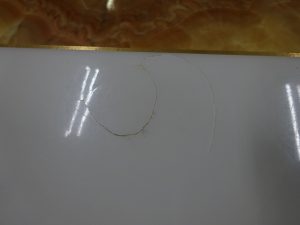 DSC01866