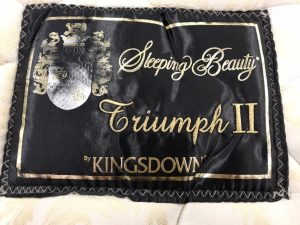 キングスダウンのワイドダブルロングサイズベッド買取致しました。愛品 