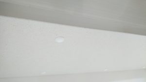 DSC_0049[1]