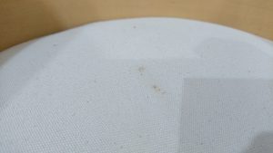 DSC_0373[1]