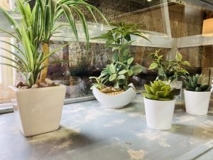 シャビー調ガラス飾り棚 (6)