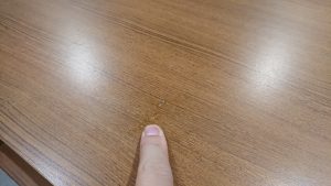 DSC_0539[1]
