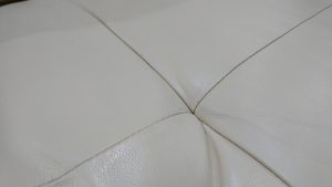 DSC_0700[1]