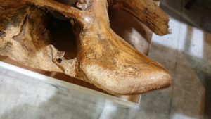 DSC_0099[1]