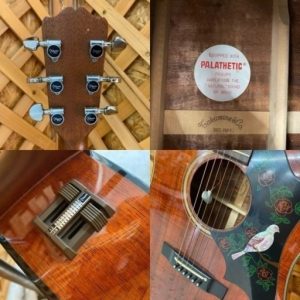 江戸川区ギター買取Takamine エレアコ④