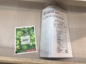 フランスベッド｜ダブルベッド｜ライフトリートメントLT-900N ASソフト 