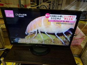 ＳＨＡＲＰ２Ｔ－Ｃ２４ＡＤ24インチ液晶テレビ