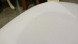 DSC_0019[1]
