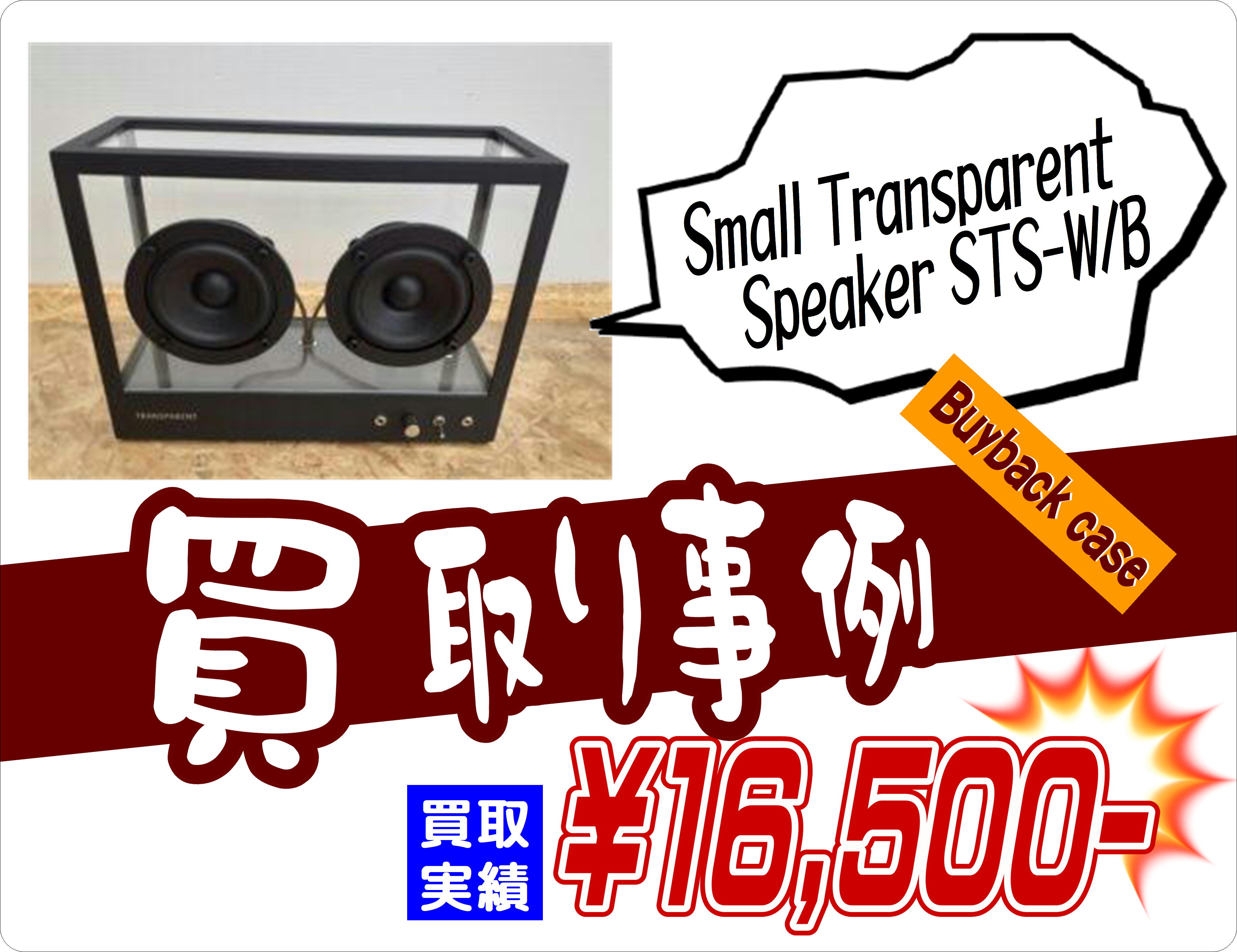 Small Transparent Speaker STS-W B