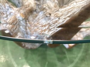 切株ガラステーブル買取致しました｜愛品館八千代店 | リサイクル 