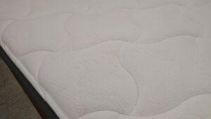 DSC_0013[1]
