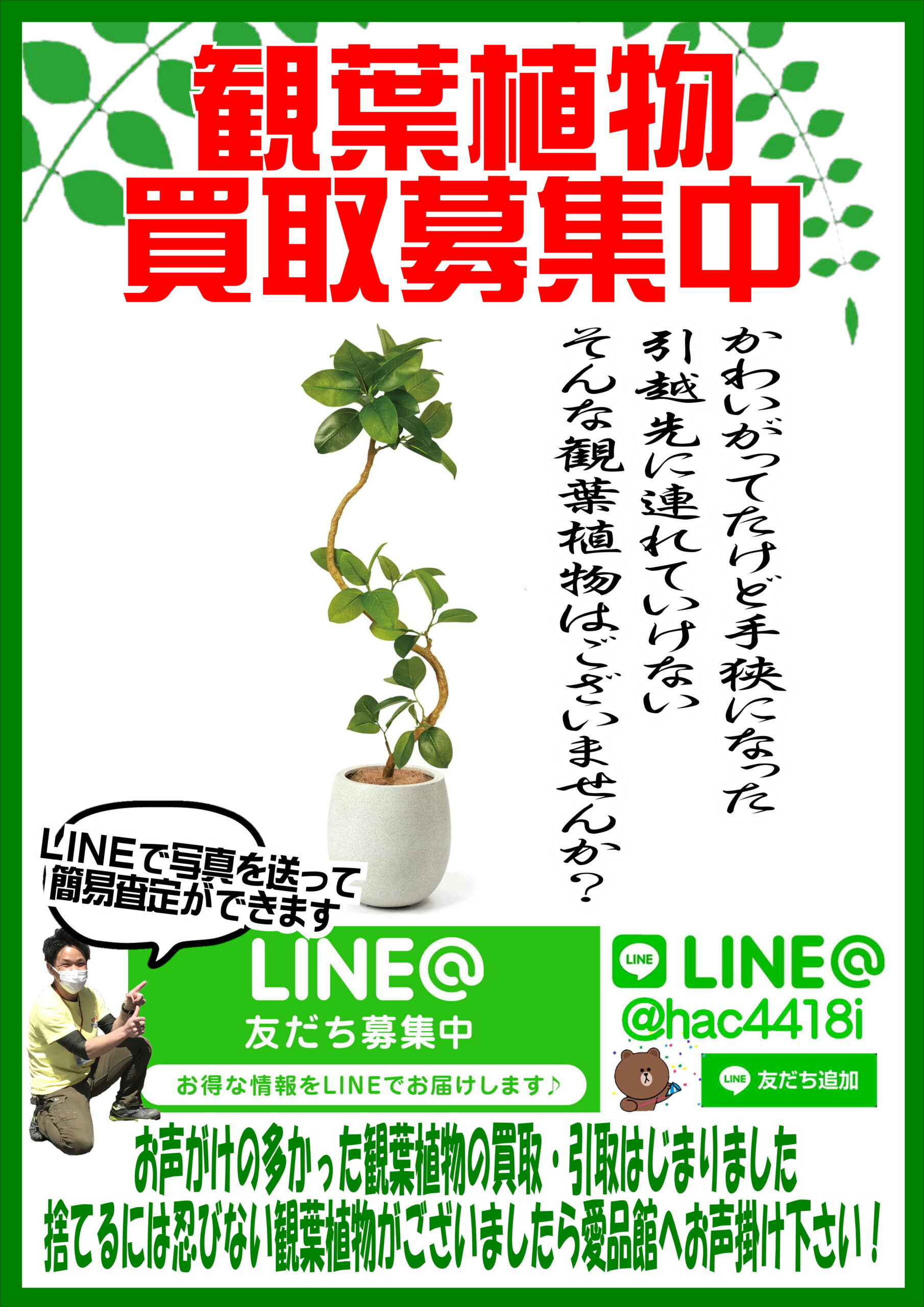 観葉植物｜盆栽｜買取｜リサイクルショップ愛品館千葉店 | リサイクル 