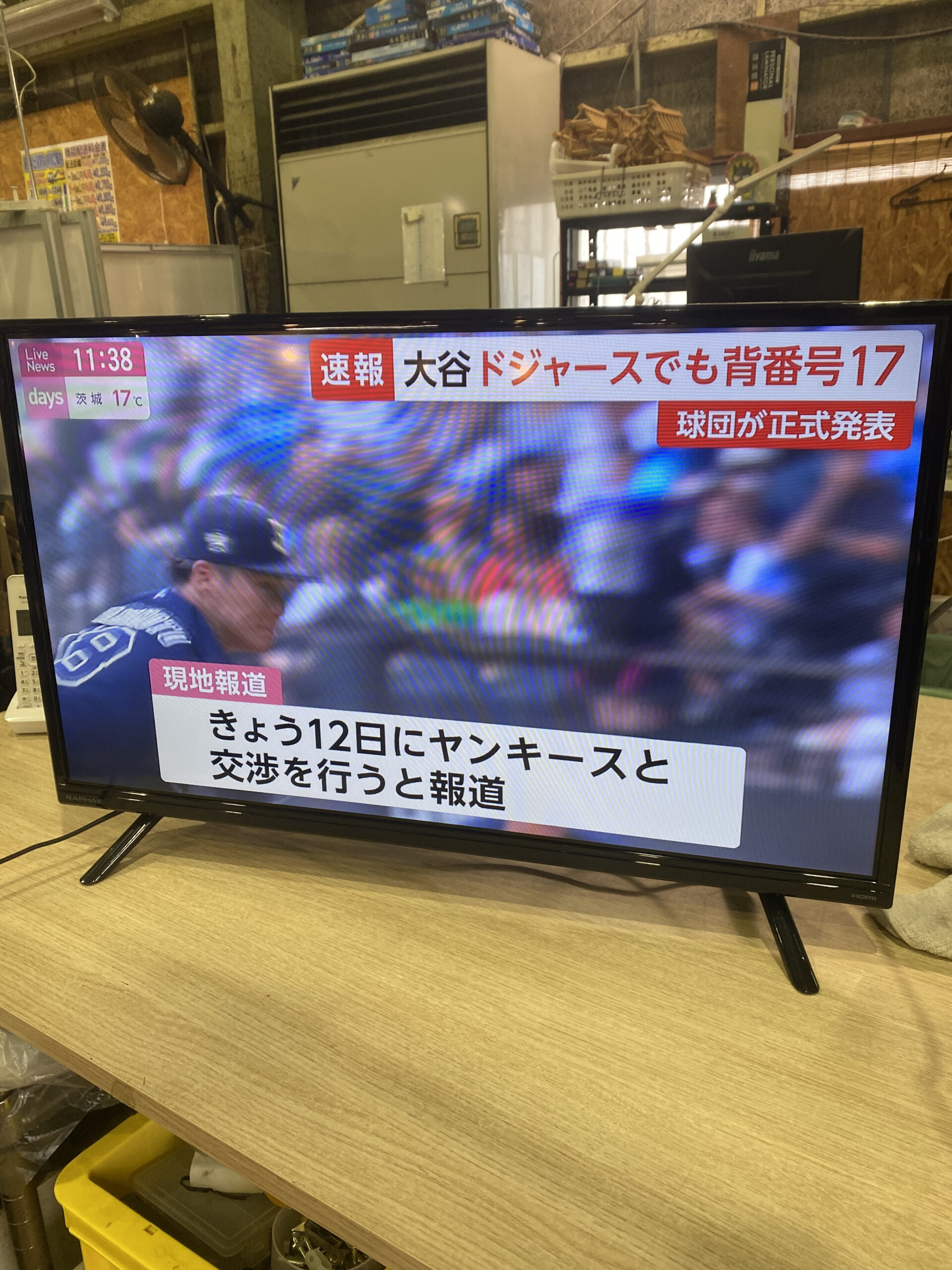 ゲオ公式通販サイト/ゲオオンラインストア【新品】ラファイエ