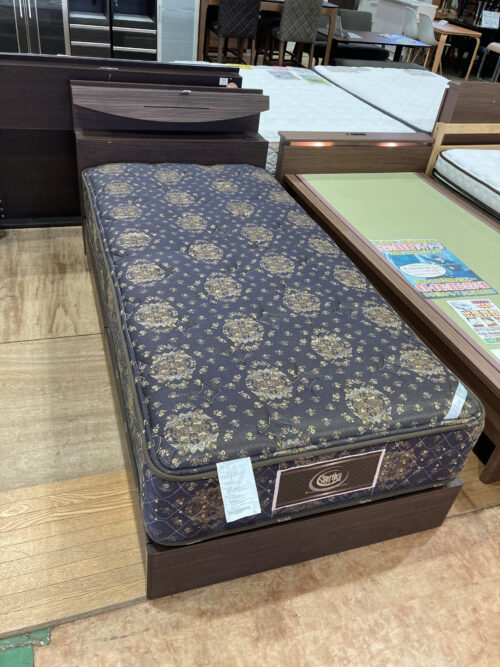 サータ｜ポスチャーセレクト59｜シングルベッド入荷致しました  
