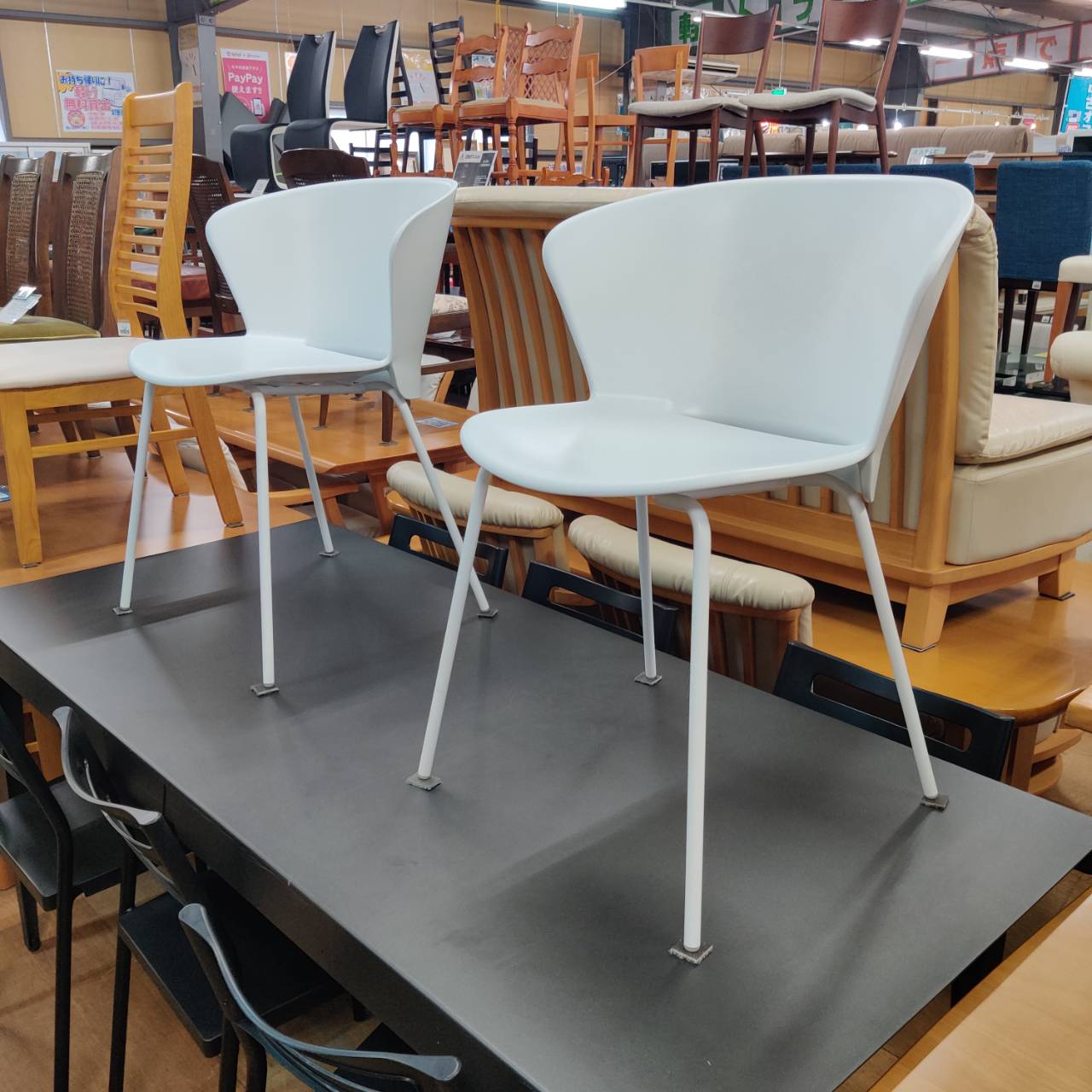 Calligaris (カリガリス) ダイニングチェア1脚 BAHIA 販売中！ 愛品 