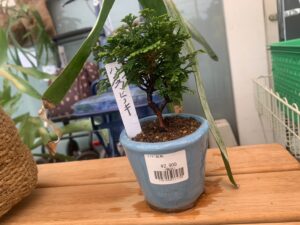 遺品整理 家電家具無料出張買取 リサイクルショップ 愛品館千葉店