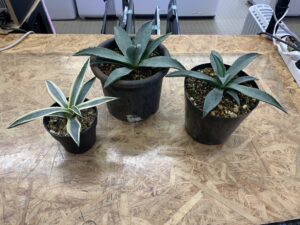 遺品整理 家電家具無料出張買取 リサイクルショップ 愛品館千葉店