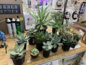 遺品整理 家電家具無料出張買取 リサイクルショップ 愛品館千葉店