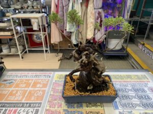 遺品整理 家電家具無料出張買取 リサイクルショップ 愛品館千葉店