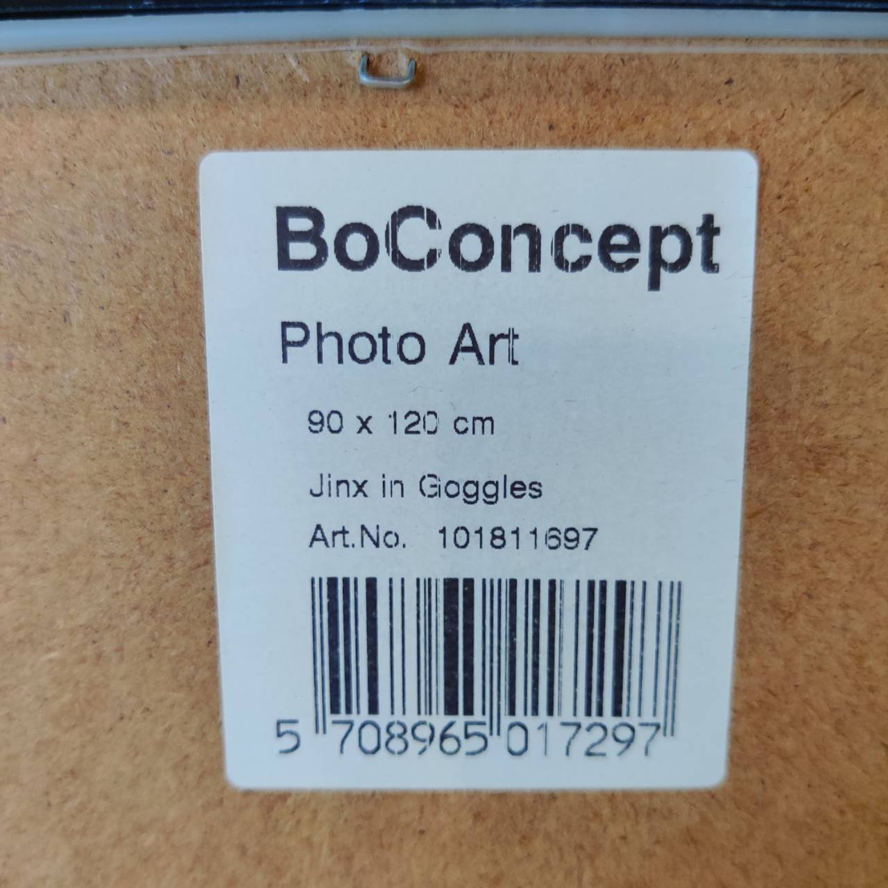愛品倶楽部柏店】BoConcept (ボーコンセプト) フォトアート額 Jinx in 