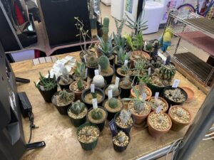 遺品整理 家電家具無料出張買取 リサイクルショップ 愛品館千葉店