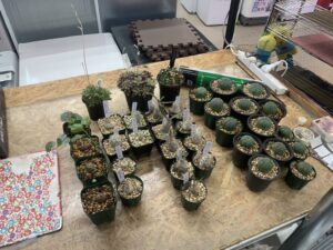 遺品整理 家電家具無料出張買取 リサイクルショップ 愛品館千葉店