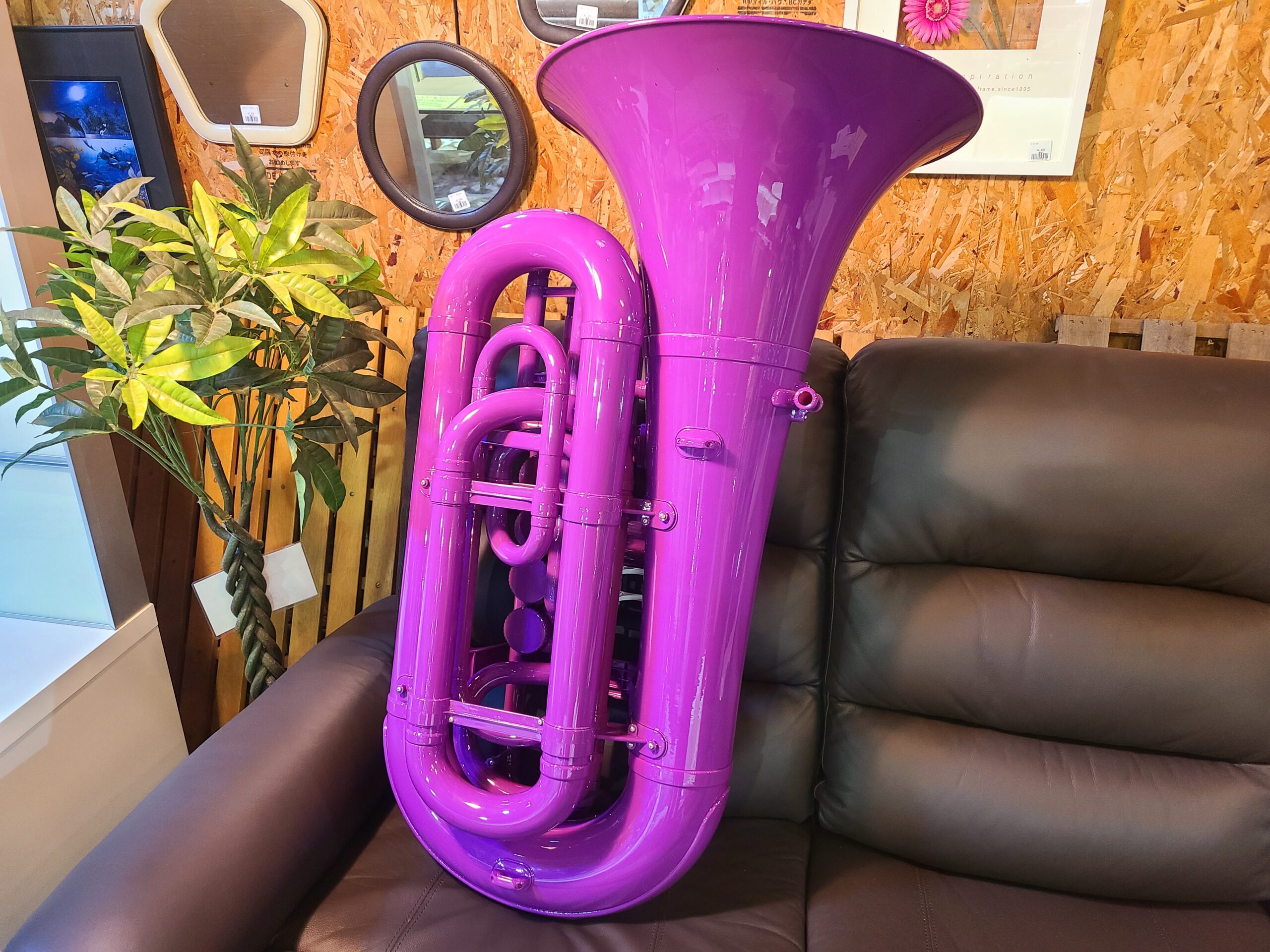 PLAYTECH ( プレイテック )チューバ プラスチック パープル買取｜愛品 