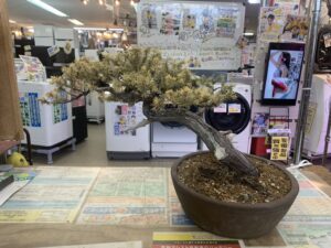 遺品整理 家電家具無料出張買取 リサイクルショップ 愛品館千葉店