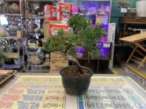 遺品整理 家電家具無料出張買取 リサイクルショップ 愛品館千葉店