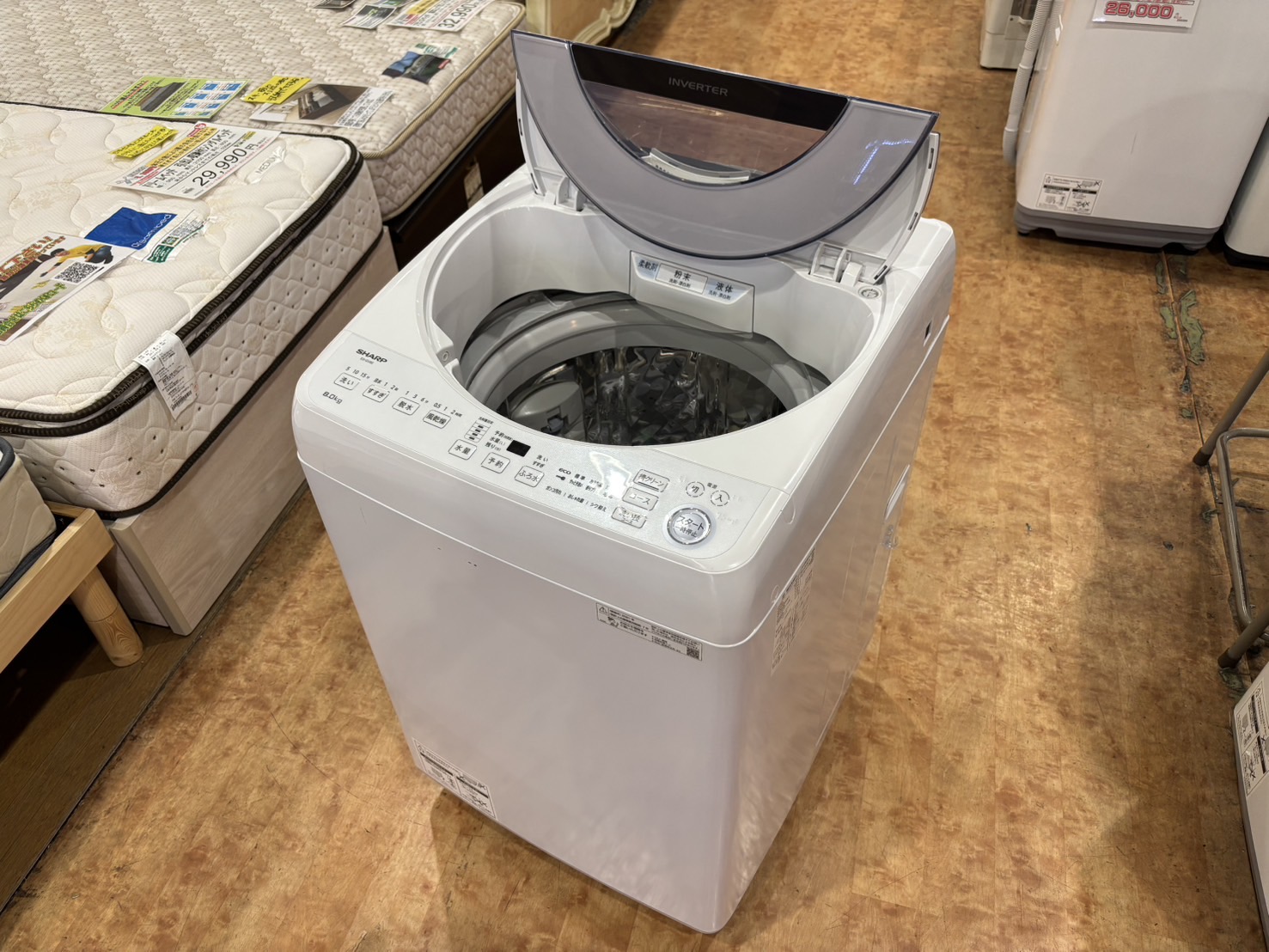 愛品館市原店】原木樹根屏風【愛市IWK】