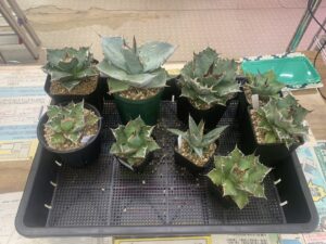 遺品整理 家電家具無料出張買取 リサイクルショップ 愛品館千葉