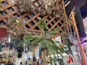 遺品整理 家電家具無料出張買取 リサイクルショップ 愛品館千葉