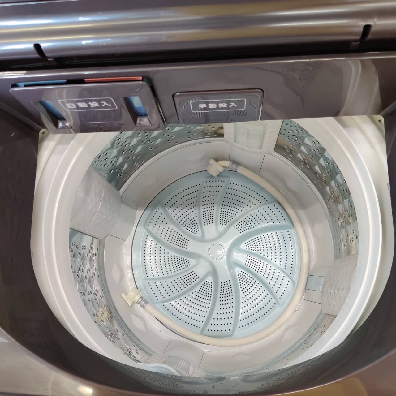 東芝 TOSHIBA 2024年製 10.0kg 全自動洗濯機 AW-10DP4 販売中！ 愛品 