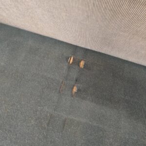 PERFORMAX_2人掛けソファ_ウォーターヒヤシンス_156020331002-5