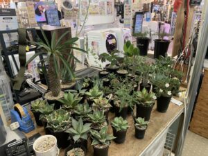 遺品整理 家電家具無料出張買取 リサイクルショップ 愛品館千葉