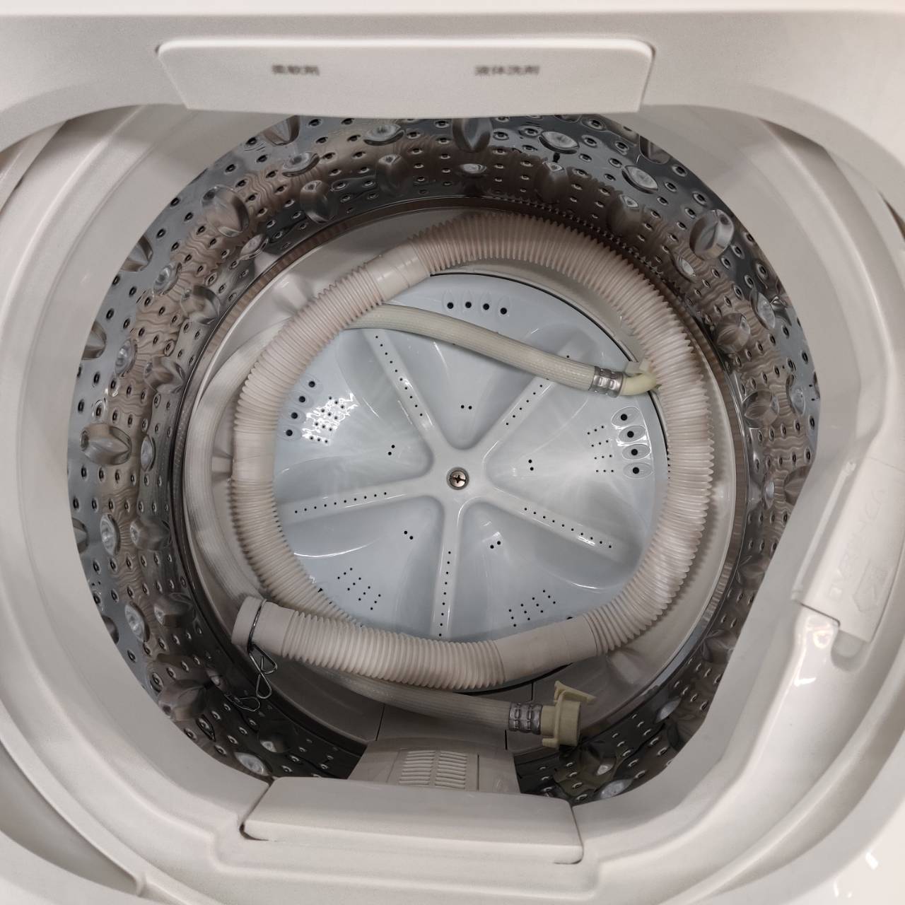 NITORI ニトリ 2025年製 6.0kg 全自動洗濯機 NT60T1WH 販売中！ 愛品 