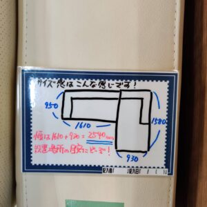 ニトリ-左カウチソファ-本革-一部合成皮革-ダブルライン3-リユース-柏-愛品倶楽部