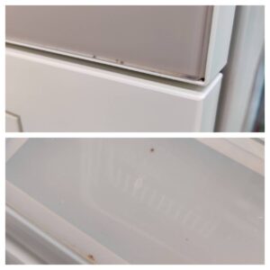 Panasonic-パナソニック-食器洗い乾燥機-NP-TH4-C-リユース-柏-愛品倶楽部